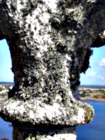 [picture: Encrusted stone cross]