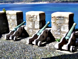 [picture: Cannons]