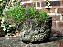 [picture: Flowerpot]