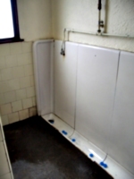 [picture: Porthallow Public Toilet 2]