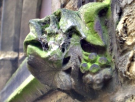 [picture: cobweb-covered gargoyle]