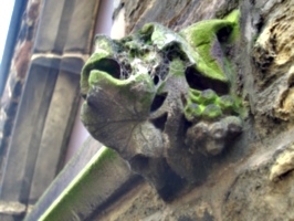 [picture: copweb-covered gargoyle 2]