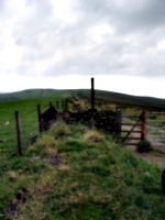 [picture: Stone wall and path]