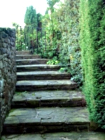 [picture: Winding stone stairs in the garden 2]