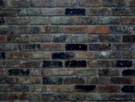 [picture: hand-made brick wall 2]