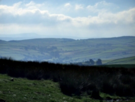 [picture: Hill with grass]