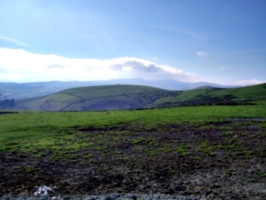 [picture: Muddy field and green hill]