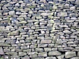 [picture: Dry stone wall]