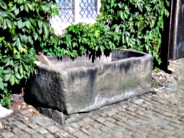 [picture: Drinking Trough]