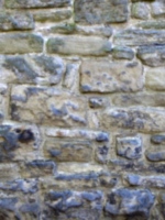 [picture: Old stone wall]