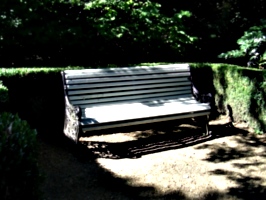 [picture: Park bench]