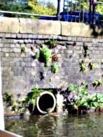 [picture: Storm drain]