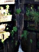 [picture: Canal lock gates for panorama: 3]