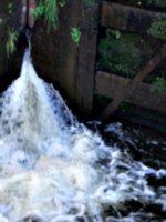 [picture: Canal lock gates for panorama: 6]