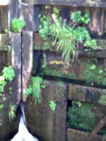 [picture: Canal lock gates for panorama: 8]