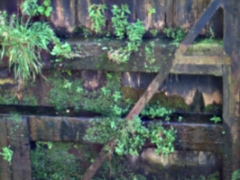 [picture: Canal lock gates for panorama: 18]