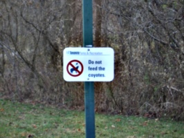 [picture: Do not feed the coyotes 2]