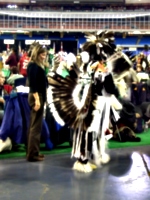 [picture: Toronto Pow-Wow 10]