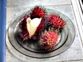 [picture: Rambutan Fruit 1]