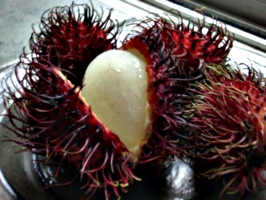 [picture: Rambutan Fruit 2]