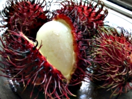 [picture: Rambutan Fruit 3]