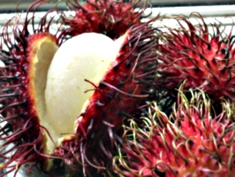 [picture: Rambutan Fruit 4]