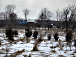 [picture: Our house from our back field]