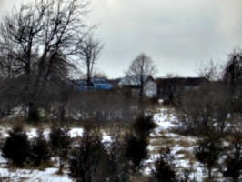 [picture: Our house from our back field 2]