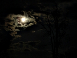 [picture: Moon, Clouds, Tree]