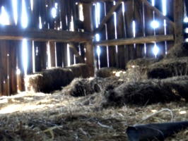 [picture: Straw bales inside a barn]