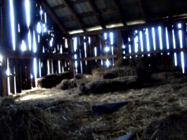 [picture: Straw bales inside a barn 2]