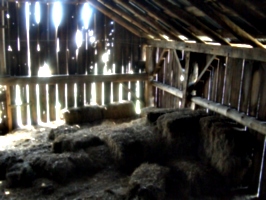 [picture: Inside an old barn 7]