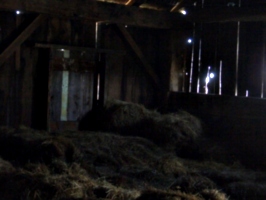 [picture: Inside an old barn 14]