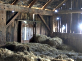 [picture: Inside an old barn 14]