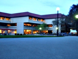 [picture: Stanford university library 3]