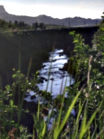 [picture: Bridge over a brook 2]