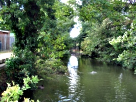 [picture: River with arched stone bridge]