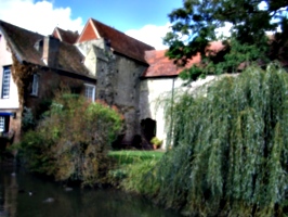 [picture: Old abbey buildings and willow tree]