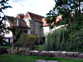 [picture: Old abbey buildings and willow tree 2]