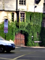 [picture: Door through ivy-covered wall]