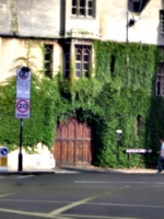 [picture: Door through ivy-covered wall 2]