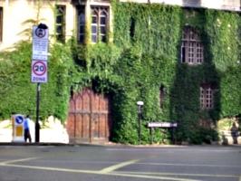 [picture: Door through ivy-covered wall 3]