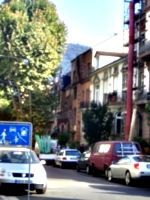 [picture: Side street with tree]