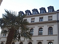 [Picture: Tree and building]