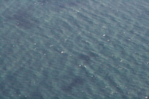 [picture: water from far above 1]