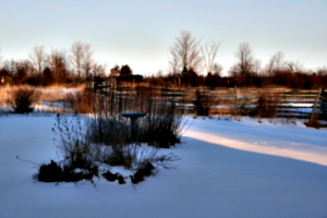 [picture: After the Snow 2]