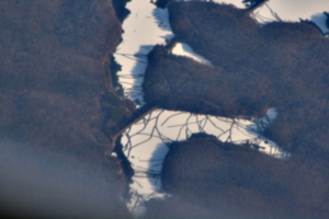 [picture: Frozen lakes in the forest 3]