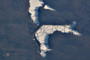 [picture: Frozen lakes in the forest 4]