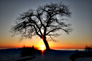 [picture: Point Petre Sunset]