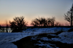 [picture: Winter trees at the shore 2]